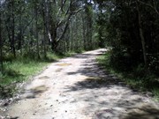Road past Harrys Hut