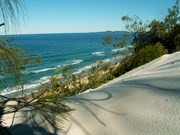 Dunes behind the Cooloola Beach Camping Zone