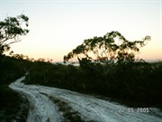 Wsstern Firebreak skirts the low lying swamplands