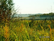 Typical wetlands of the Western Firebreak Area