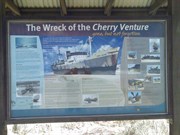 Cherry Venture - 2008