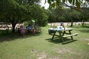 Freshwater Picnic Brounds near the Campsites