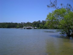 Tewantin Vehicular Ferry