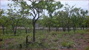 Within Sight of the Highway