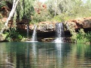 Fern Pool