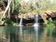 Fern Pool