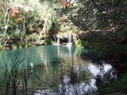 Fern Pool