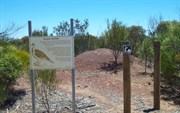 Mallee Fowls Nest (Aussie Battler)