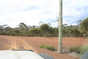 Take care when crossing Forrestania Southern Cross Rd