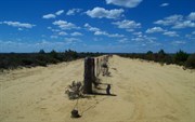 State Barrier (Emu) Fence