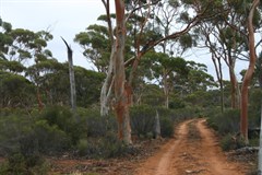 Victoria Rock Rd & Pigeon Hole Access 