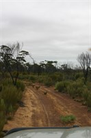 Victoria Rock Rd & Pigeon Hole Access - Scene along the Pigeon Hole track 