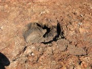 Pikalu Rock Holes
