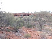Breaden Bluff Caves