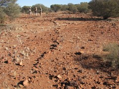 Breaden Bluff Ceremonial Grounds - Stone pathway 