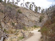 Pathway along gorge