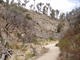 Pathway along gorge