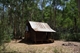 Buddong Hut - Bago Sate Forest NSW