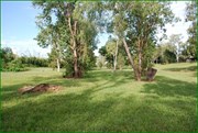 Vast camping Unpowered Area.