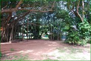Shaded Caravan Parking