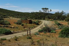 Piltimitiappa Homestead Ruins 