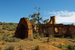 Piltimitiappa Homestead Ruins 