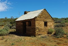 Piltimitiappa Homestead Ruins 