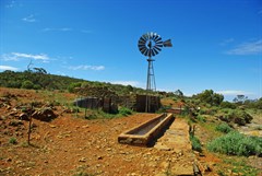 Piltimitiappa Homestead Ruins 