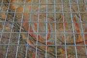 Aboriginal Art Site