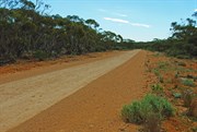 Old Telegraph Lines & Rabbit Proof Fence