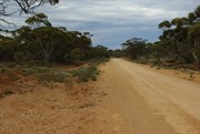 Old Telegraph Lines & Rabbit Proof Fence