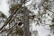 Old Telegraph Lines & Rabbit Proof Fence