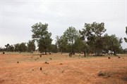 Shaded open camp areas