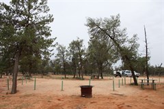 Main Camp (Mungo NP) - Large campsite 