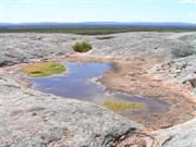 Water on top