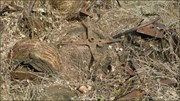 Reels of old Wire at the site