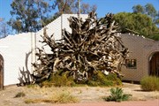 The Black Stump