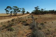 This Fence line is actual Border