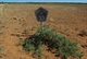 Tourist Drive 33 Sign