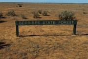 Berribee State Forest Boundary Marker