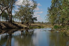 Lindsay Bridge