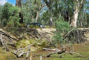 Mullaroo Creek