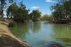 Mullaroo Creek at Mullaroo No 1