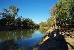 Mullaroo Creek at Mullaroo No 2