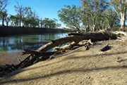 Mullaroo Creek - Mullaroo No 4