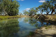 Mullaroo Creek at No 5