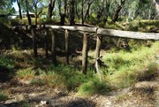 Remains of old wooden bridge