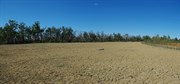 Websters Lagoon