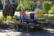 A Perfect place for a cuppa on the Banks of the Murray
