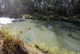Mullaroo Creek Barrier Bouys